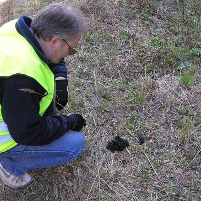 2006 Kuidas Elad Virumaa 8 20170321 1959297769