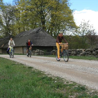 2007 Kuidas Elad Matsalu 52 20170321 1892637242