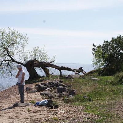 2008 Kuidas Elad Laemmijaerv 1038 20170321 1469568001