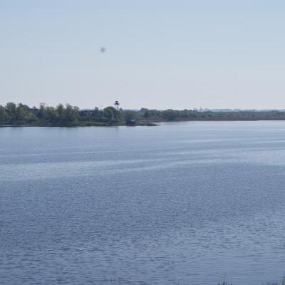 2008 Kuidas Elad Laemmijaerv 1067 20170321 1848230123