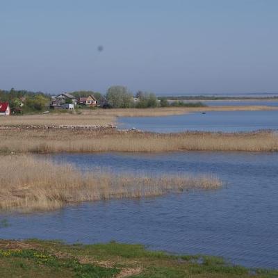 2008 Kuidas Elad Laemmijaerv 1077 20170321 1420954999