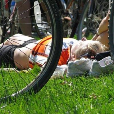 2008 Kuidas Elad Laemmijaerv 119 20170321 1263375378