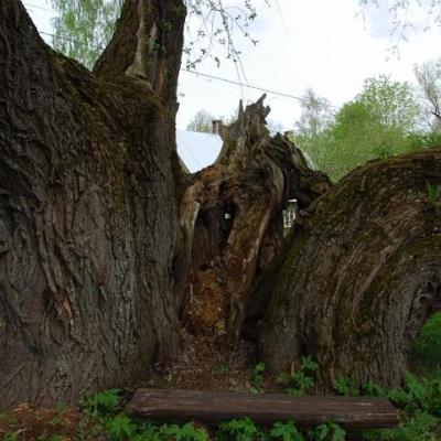 2008 Kuidas Elad Laemmijaerv 166 20170321 1322569579