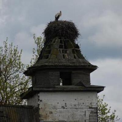 2008 Kuidas Elad Laemmijaerv 171 20170321 1564460018