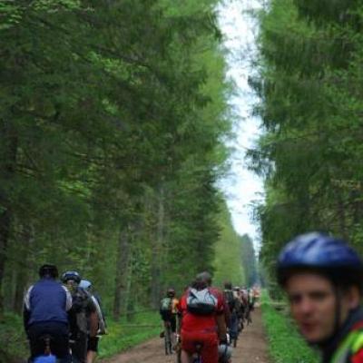 2008 Kuidas Elad Laemmijaerv 180 20170321 1018476598