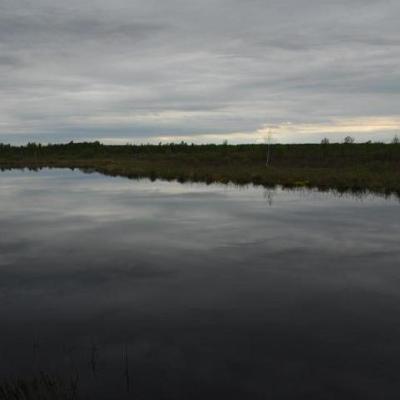 2008 Kuidas Elad Laemmijaerv 202 20170321 1225119341