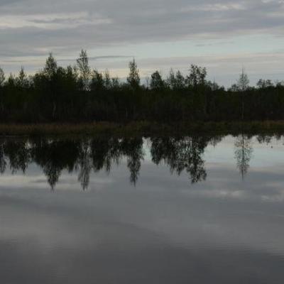 2008 Kuidas Elad Laemmijaerv 205 20170321 1796826282