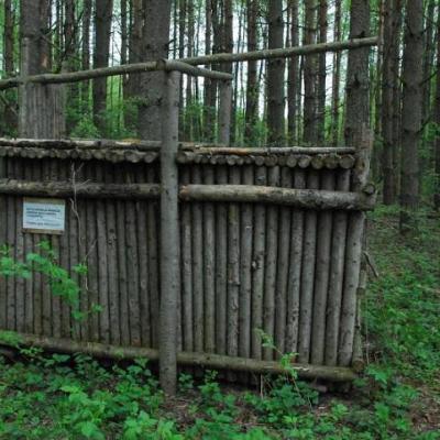 2008 Kuidas Elad Laemmijaerv 207 20170321 1221256664