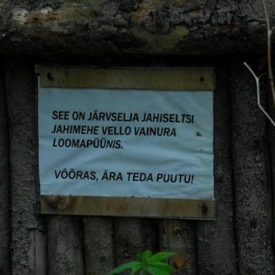 2008 Kuidas Elad Laemmijaerv 208 20170321 1769003455