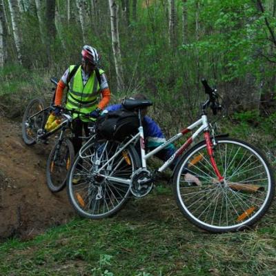 2008 Kuidas Elad Laemmijaerv 210 20170321 1292533915