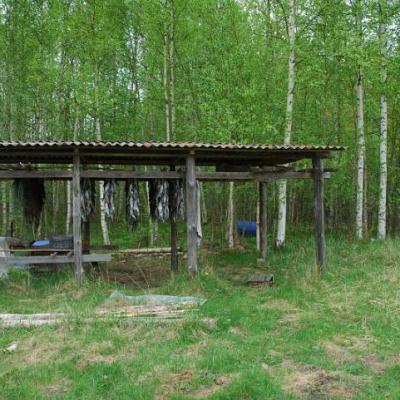 2008 Kuidas Elad Laemmijaerv 226 20170321 1258866155