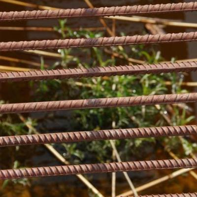 2008 Kuidas Elad Laemmijaerv 291 20170321 1791320526