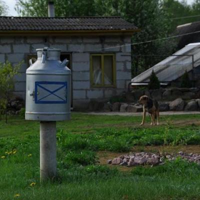 2008 Kuidas Elad Laemmijaerv 292 20170321 1339312309