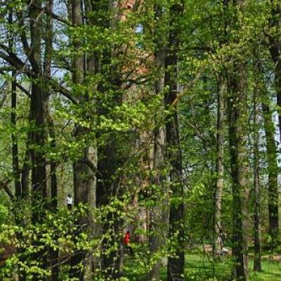 2008 Kuidas Elad Laemmijaerv 364 20170321 1333279262