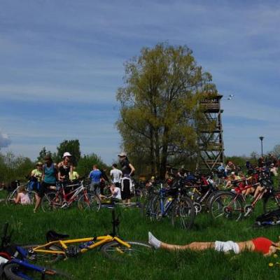 2008 Kuidas Elad Laemmijaerv 375 20170321 1451055890