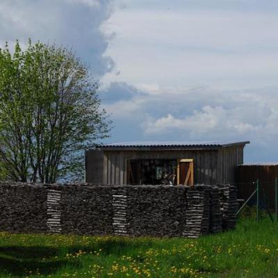 2008 Kuidas Elad Laemmijaerv 384 20170321 2034552590