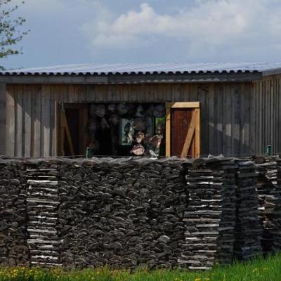 2008 Kuidas Elad Laemmijaerv 385 20170321 1011819841