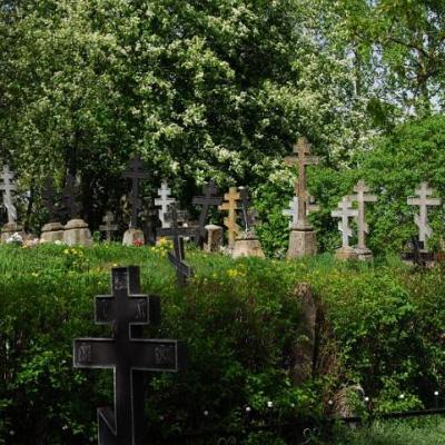 2008 Kuidas Elad Laemmijaerv 392 20170321 1891068863