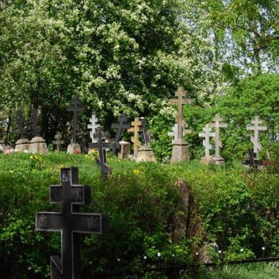 2008 Kuidas Elad Laemmijaerv 393 20170321 1867574993