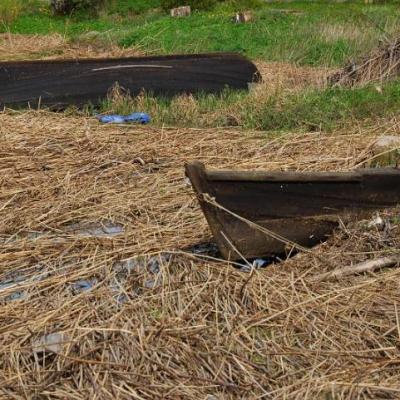 2008 Kuidas Elad Laemmijaerv 410 20170321 1730637430