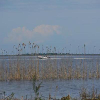 2008 Kuidas Elad Laemmijaerv 414 20170321 1997685934