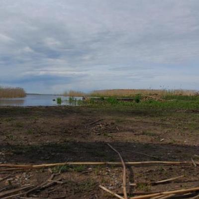 2008 Kuidas Elad Laemmijaerv 417 20170321 1221134388