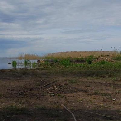 2008 Kuidas Elad Laemmijaerv 419 20170321 1425573850