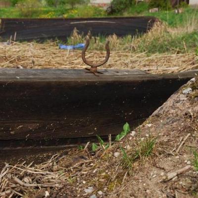 2008 Kuidas Elad Laemmijaerv 421 20170321 1466646619