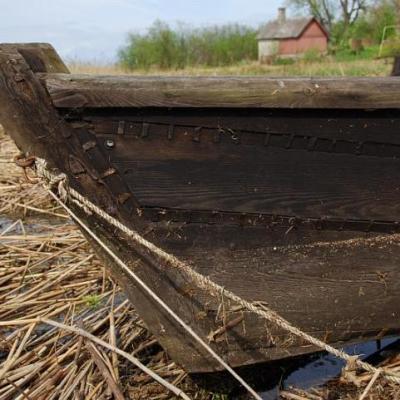 2008 Kuidas Elad Laemmijaerv 423 20170321 1591867305