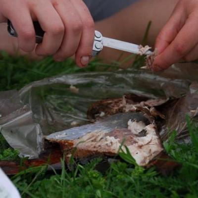 2008 Kuidas Elad Laemmijaerv 443 20170321 1971335006