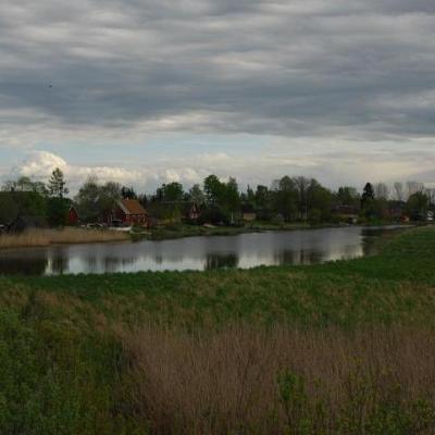 2008 Kuidas Elad Laemmijaerv 461 20170321 1998621147