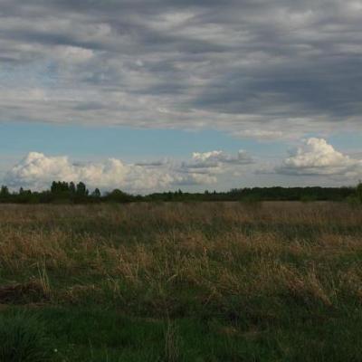 2008 Kuidas Elad Laemmijaerv 462 20170321 1527575106