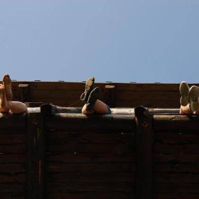 2008 Kuidas Elad Laemmijaerv 487 20170321 1251227512