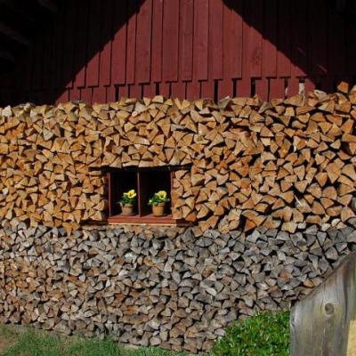 2008 Kuidas Elad Laemmijaerv 535 20170321 2086961750