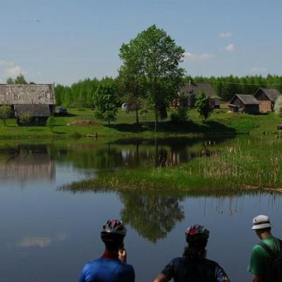 2008 Kuidas Elad Laemmijaerv 541 20170321 1687425512