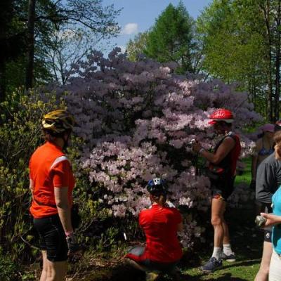 2008 Kuidas Elad Laemmijaerv 545 20170321 1026009109