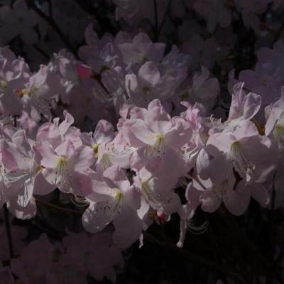 2008 Kuidas Elad Laemmijaerv 546 20170321 1044000269