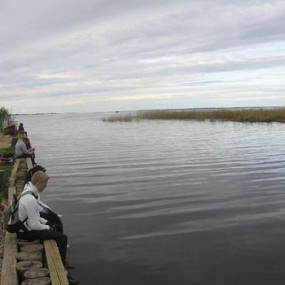 2008 Kuidas Elad Laemmijaerv 554 20170321 1123846970