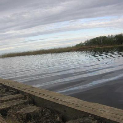 2008 Kuidas Elad Laemmijaerv 558 20170321 1536685583