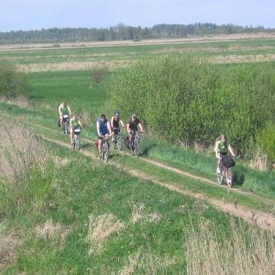 2008 Kuidas Elad Laemmijaerv 575 20170321 1147117478