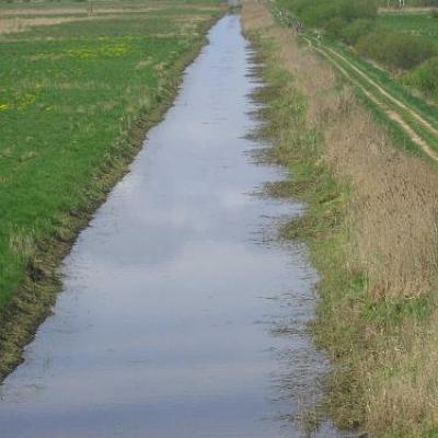 2008 Kuidas Elad Laemmijaerv 577 20170321 1119945470