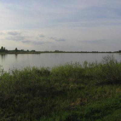 2008 Kuidas Elad Laemmijaerv 592 20170321 1777451367