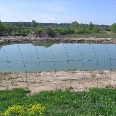 2008 Kuidas Elad Laemmijaerv 609 20170321 1617744433