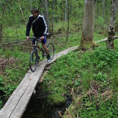 2008 Kuidas Elad Laemmijaerv 640 20170321 1411984536