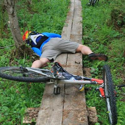 2008 Kuidas Elad Laemmijaerv 642 20170321 1470675558