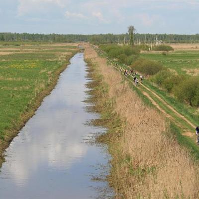 2008 Kuidas Elad Laemmijaerv 661 20170321 2096568882