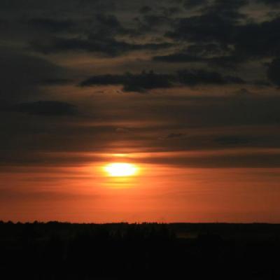 2008 Kuidas Elad Laemmijaerv 699 20170321 1218985096