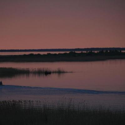 2008 Kuidas Elad Laemmijaerv 703 20170321 1713302090