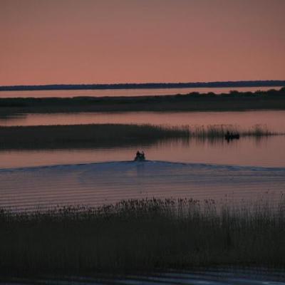 2008 Kuidas Elad Laemmijaerv 704 20170321 1190589481