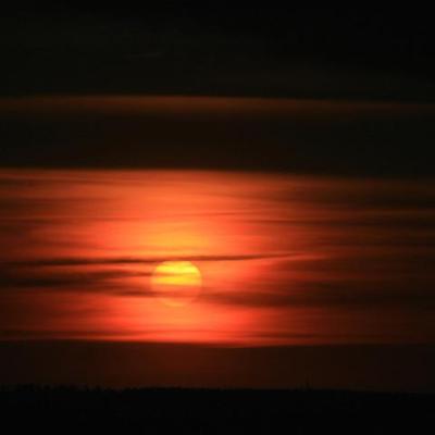 2008 Kuidas Elad Laemmijaerv 705 20170321 1601011888